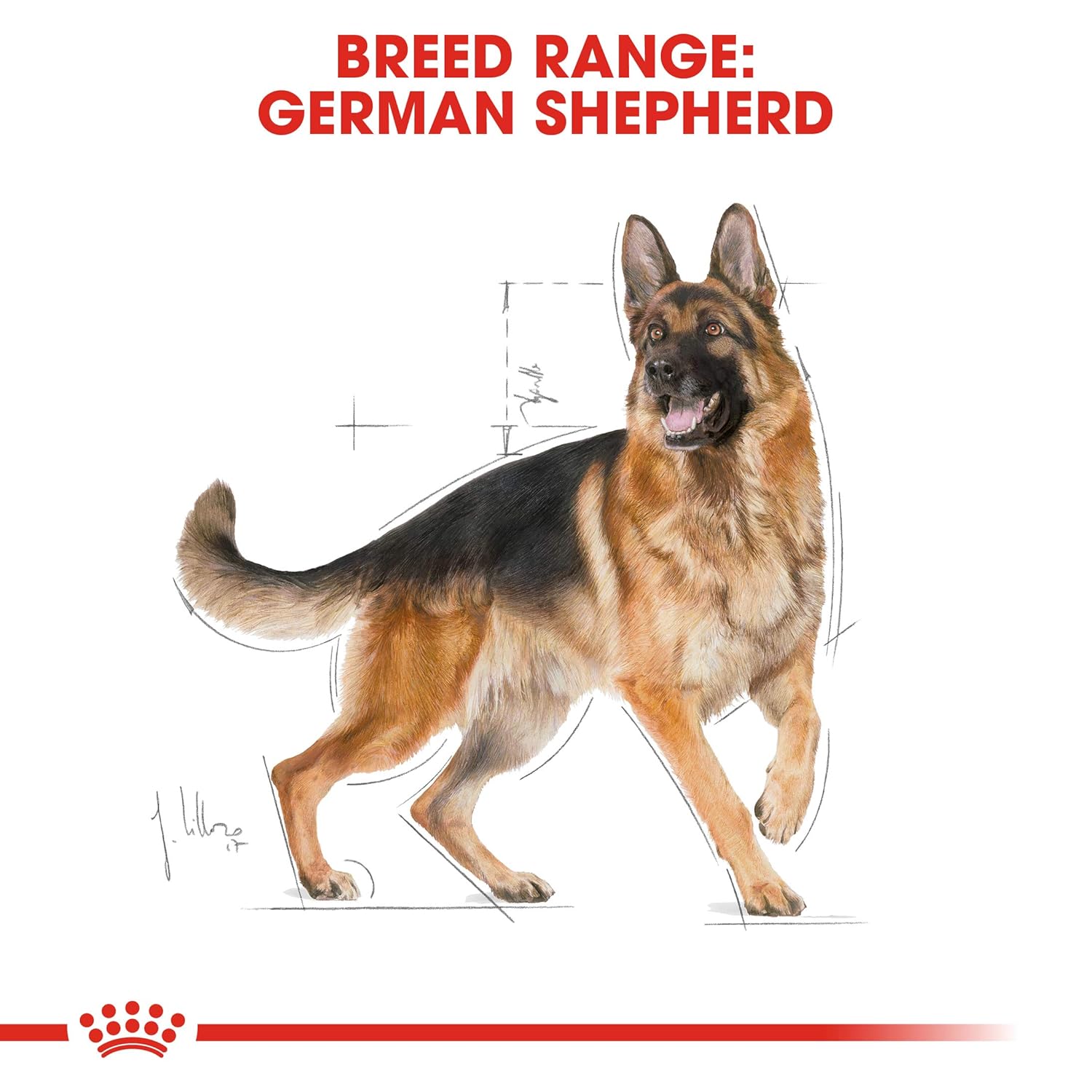 Royal Canin German Shepherd Pellet Adult Dog Food, Meat Flavour, 3 KG