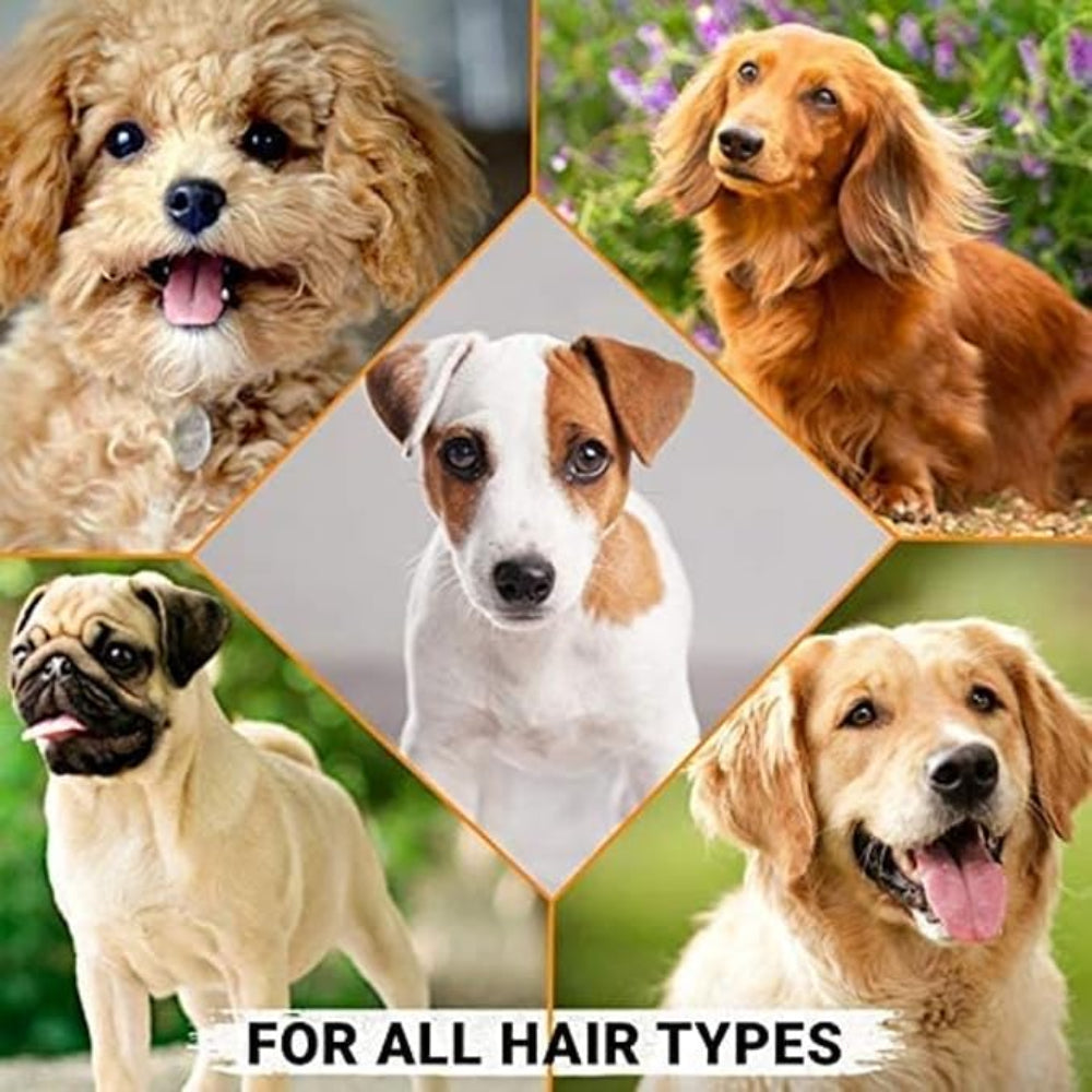 Oh My Dog Hair Serum with Tea Tree Oil for Soft and Shiny Coat for Dogs and Cats- 110ml