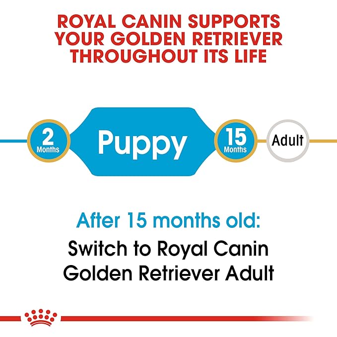 Royal Canin - Golden Retriever - Puppy