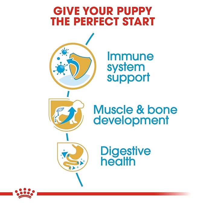 Royal Canin Rottweiler Junior Pellet Dog Food, Variety Flavor, 3 Kg,Pack of 1