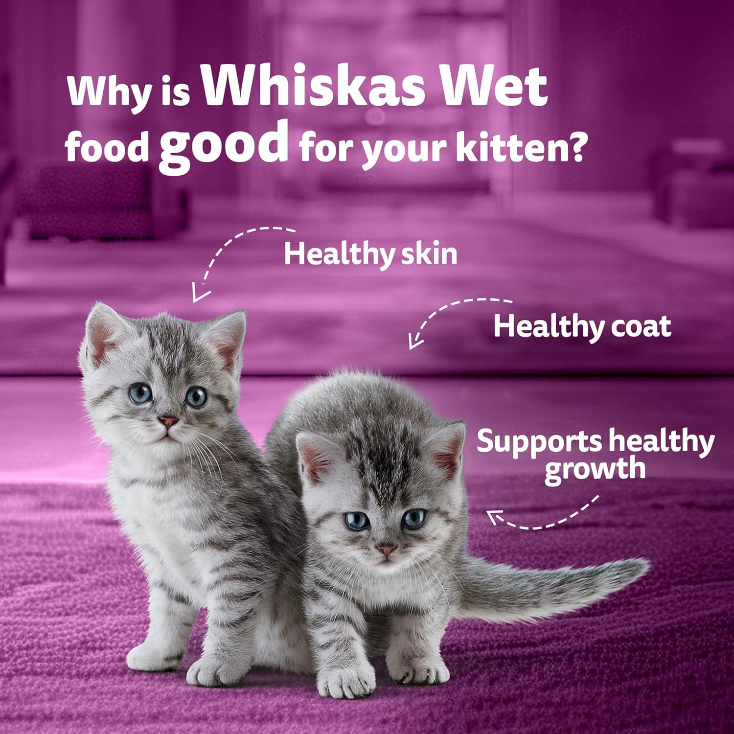 Whiskas Junior Kitten (2-12 Months) Wet Cat Food, Tuna in Jelly