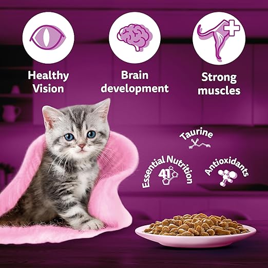 Whiskas Junior Kitten (2-12 Months) Wet Cat Food, Tuna in Jelly