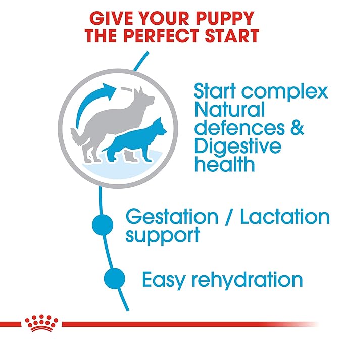 Royal Canin - Maxi - Starter