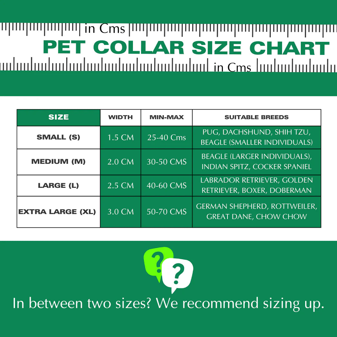 Basil Padded Adjustable Collar for Dogs & Cats