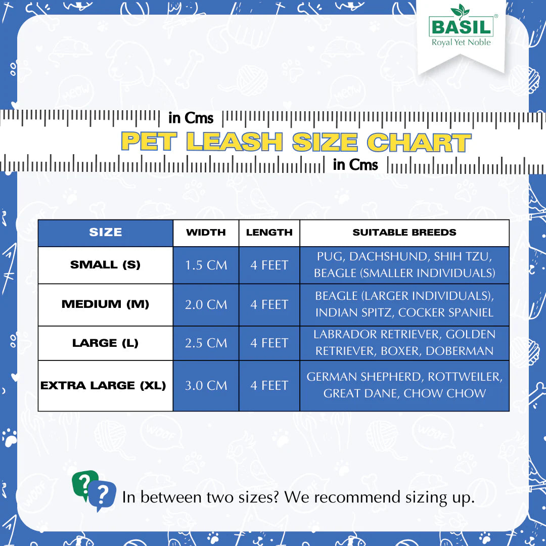Basil Padded Leash for Dogs & Cats