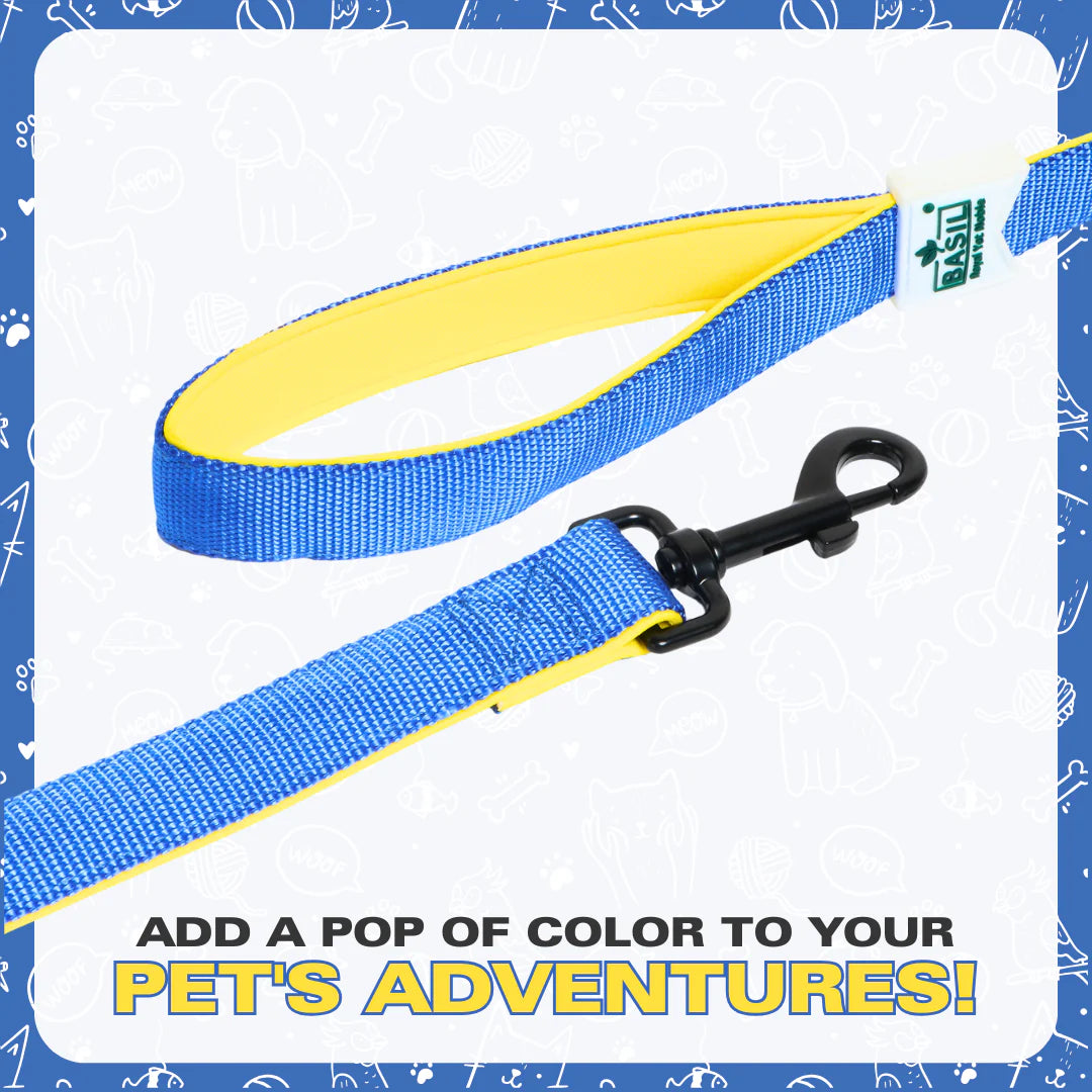 Basil Padded Leash for Dogs & Cats