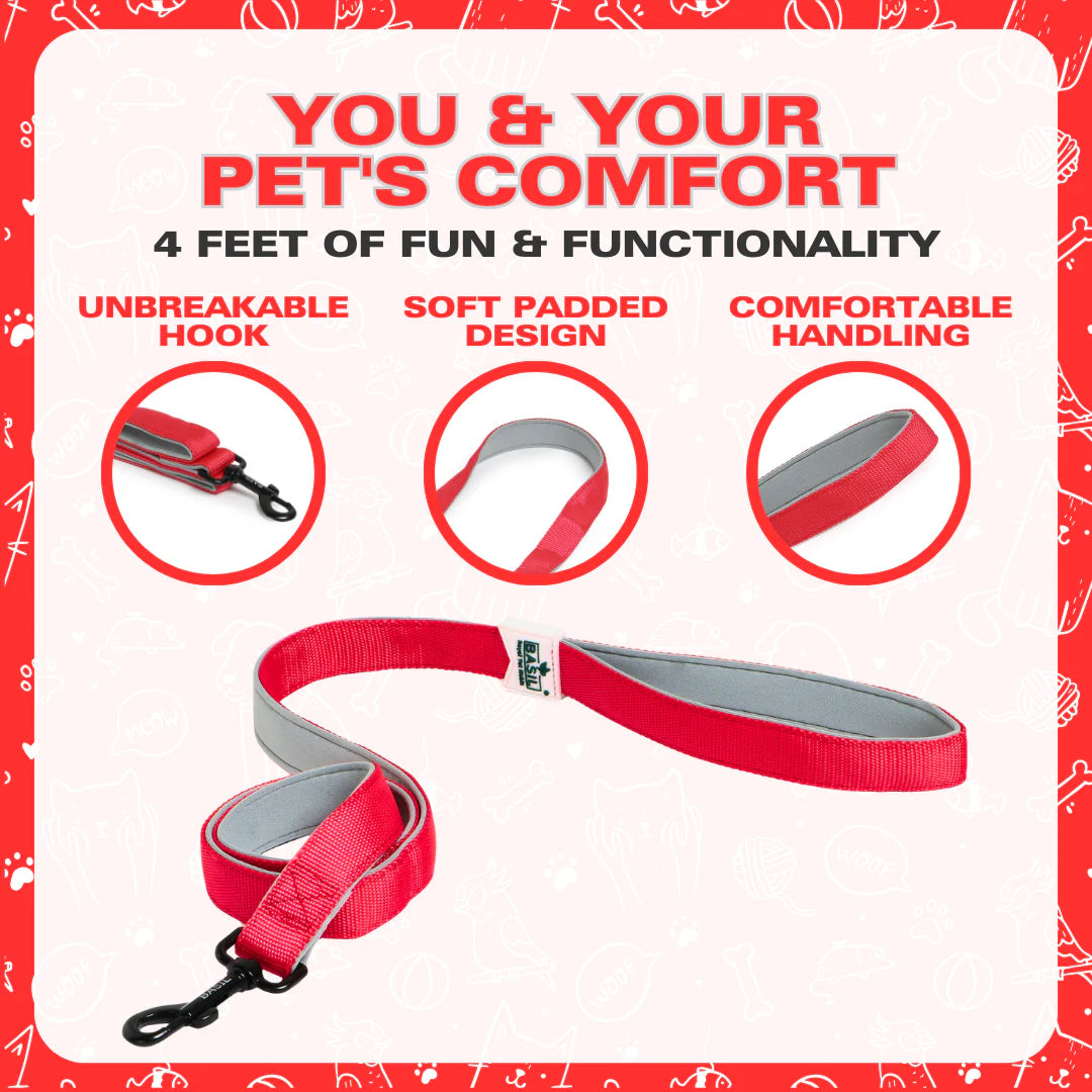Basil Padded Leash for Dogs & Cats