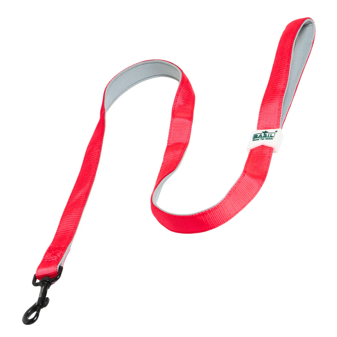 Basil Padded Leash for Dogs & Cats