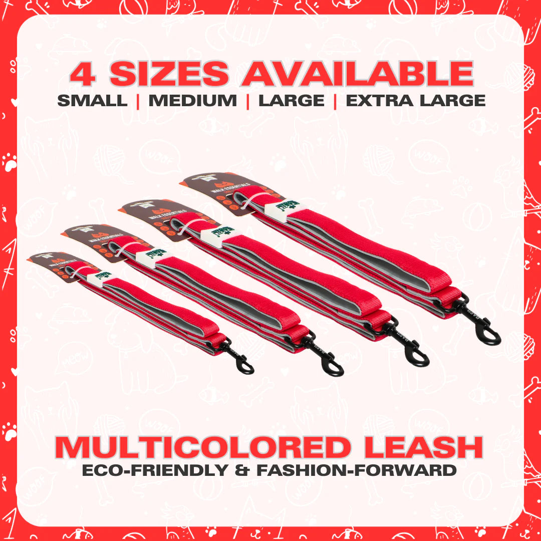 Basil Padded Leash for Dogs & Cats