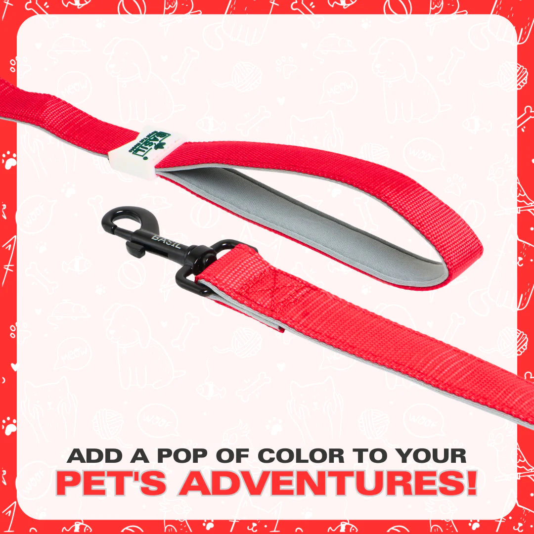 Basil Padded Leash for Dogs & Cats