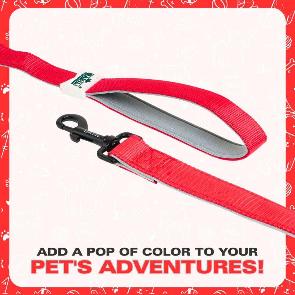 Basil Padded Leash for Dogs & Cats
