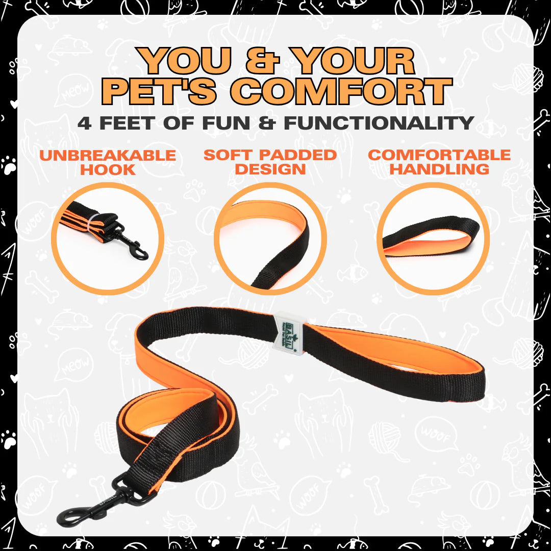 Basil Padded Leash for Dogs & Cats