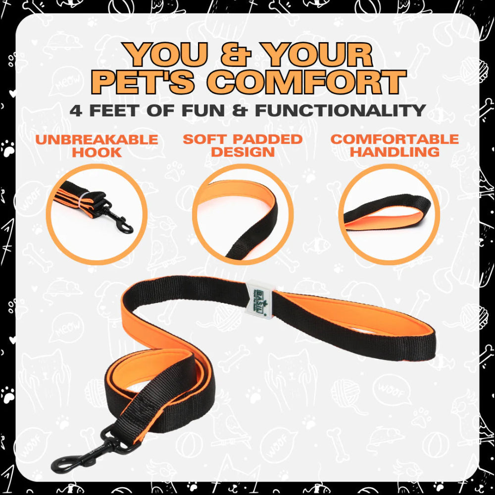 Basil Padded Leash for Dogs & Cats