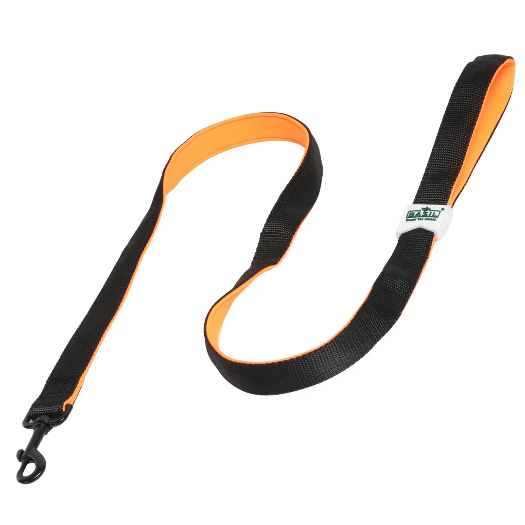 Basil Padded Leash for Dogs & Cats