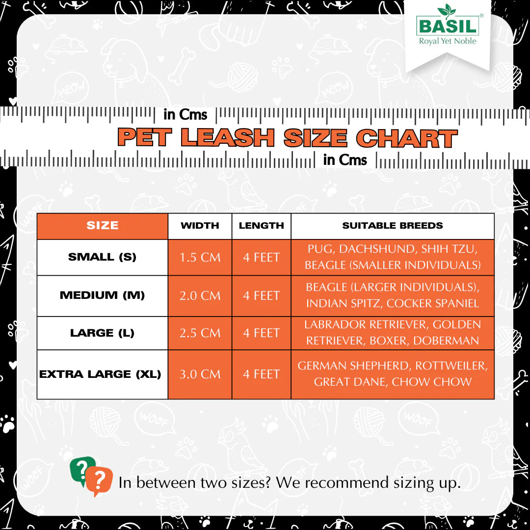 Basil Padded Leash for Dogs & Cats