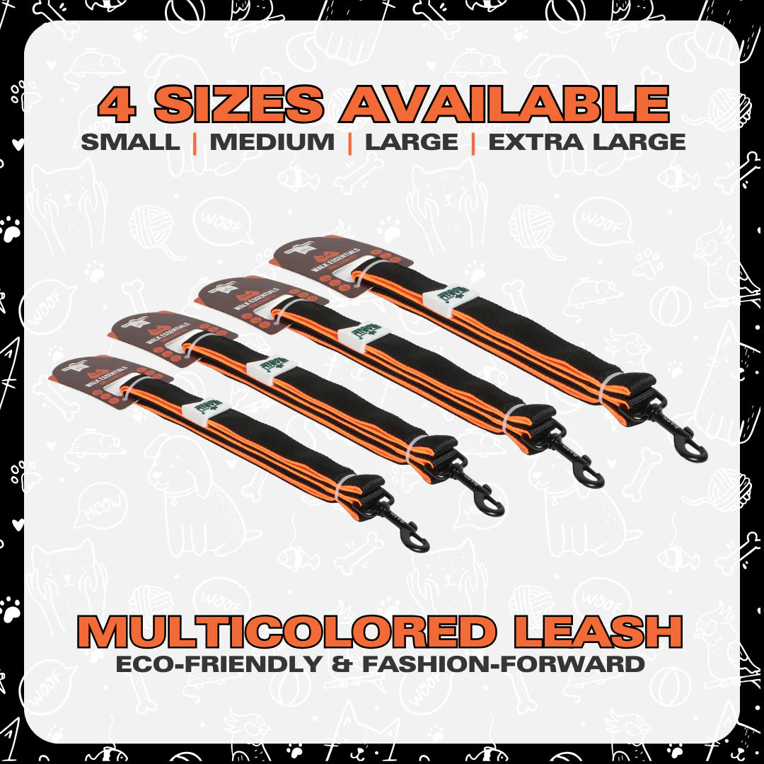 Basil Padded Leash for Dogs & Cats