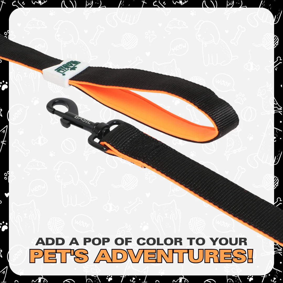 Basil Padded Leash for Dogs & Cats