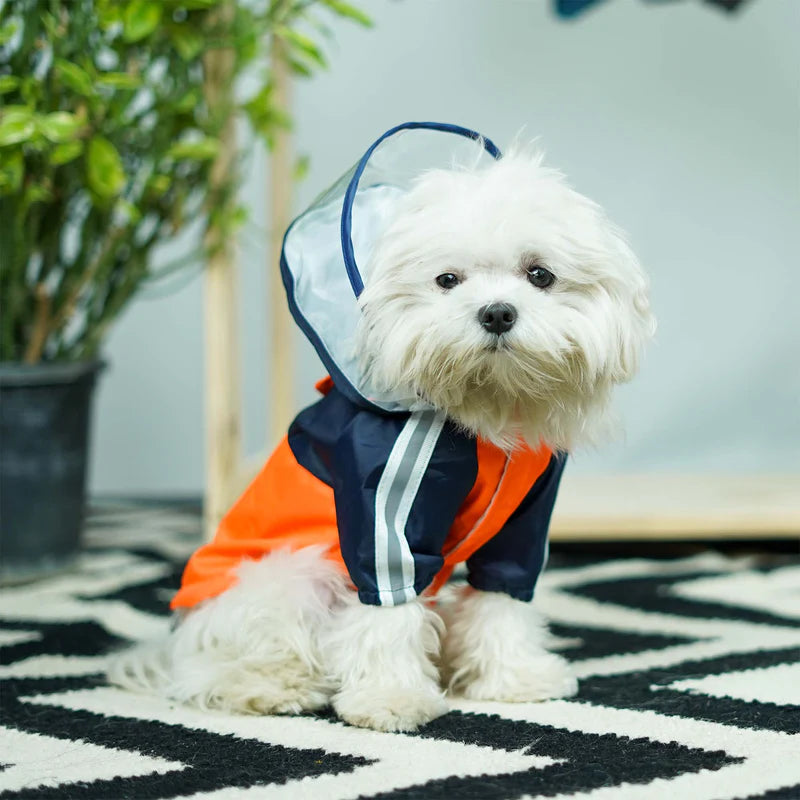 Lava Rainstorm Dog Raincoat – Waterproof & Reflective Monsoon Jacket for Dogs | High Cut Design, Hook Neck, Adjustable Fit (XS–5XL)