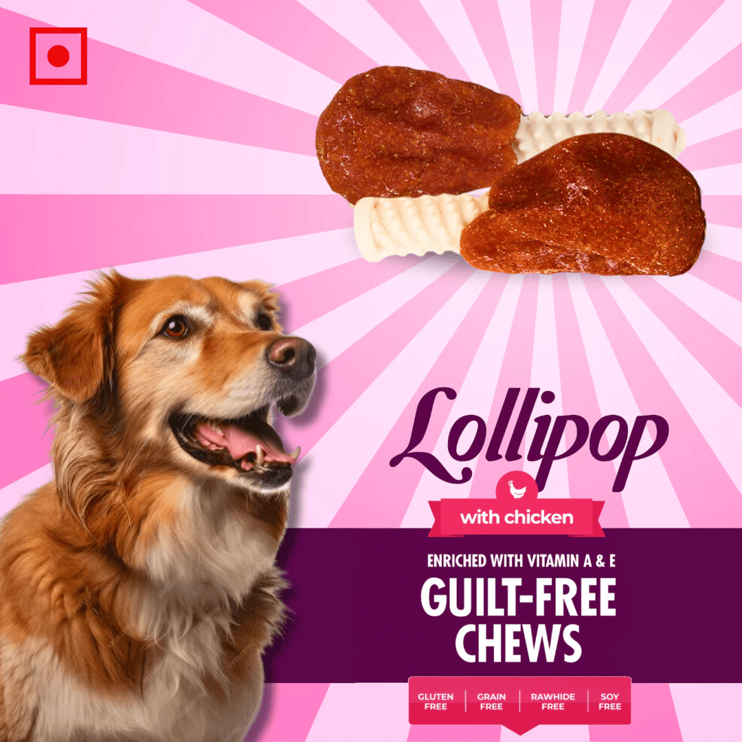 Basil Chicken Lollipop Dog Treat 92g