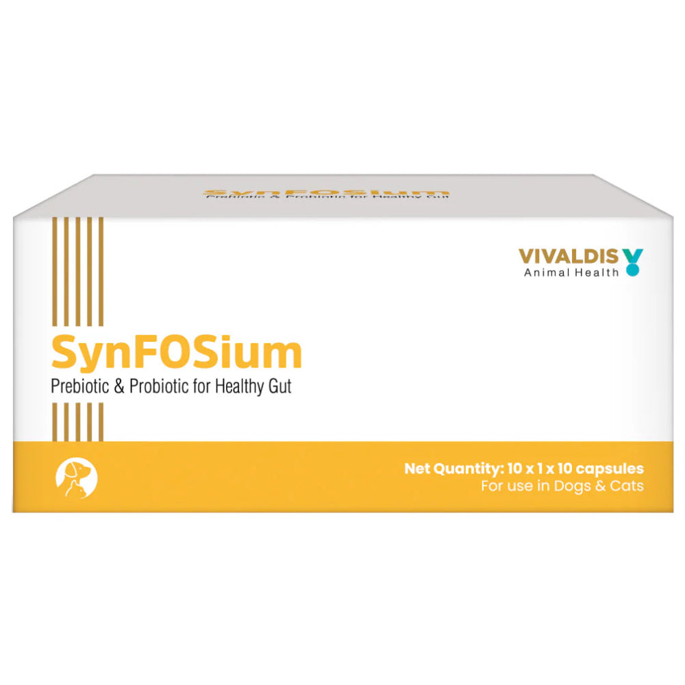 Vivaldis Synfosium 10 Tablets