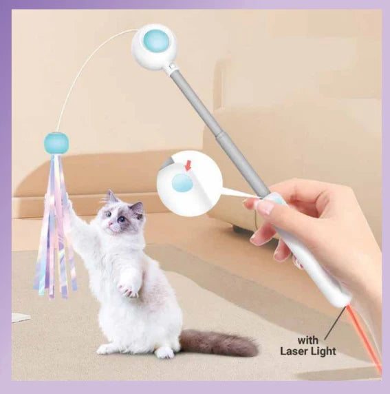 Holy Paws Cat Teaser Stick with Laser & Feather