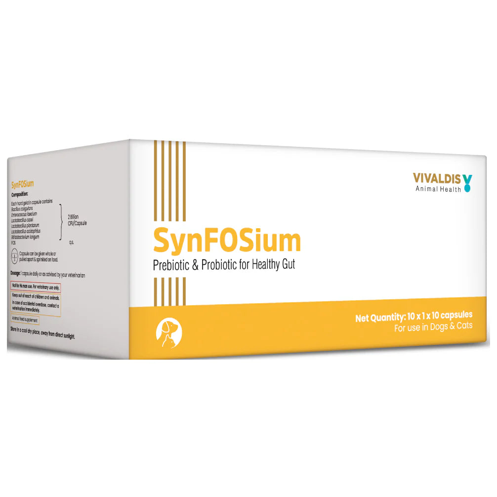 Vivaldis Synfosium