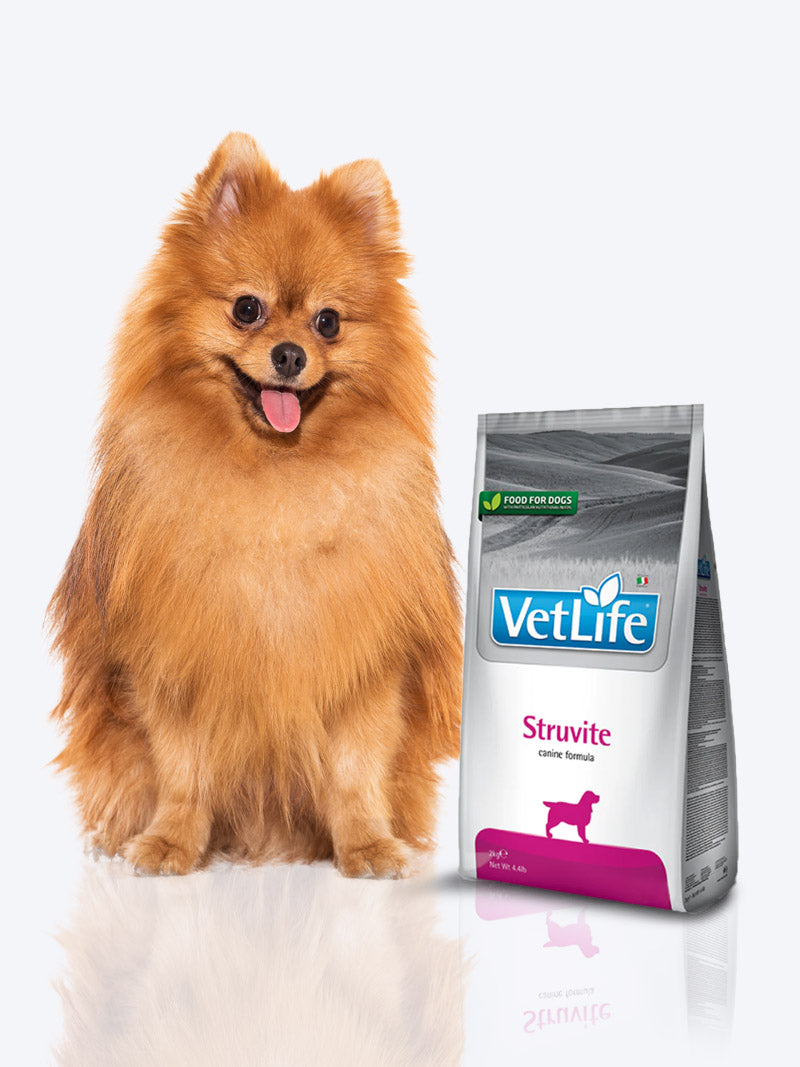 Farmina Vet Life Dog Struvite Food 2kg