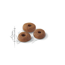 Royal Canin Fit-32
