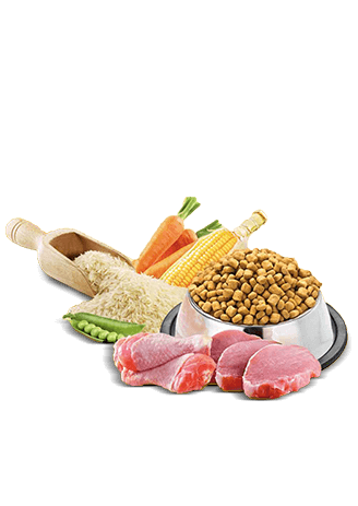 Pedigree Adult Dry Dog Food, Chicken & Vegetables, Contains 37 Essential Nutrients, 100% Complete & Balanced Food for Adult Dogs