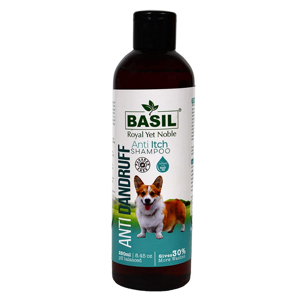 Basil Anti-Itch Shampoo Anti Dandruff