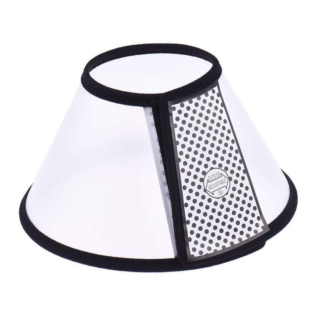 Elizabethan Collar