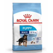 Load image into Gallery viewer, Royal Canin - Maxi - Junior/Puppy