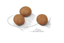 Load image into Gallery viewer, Royal Canin - Maxi - Junior/Puppy