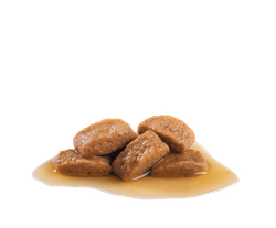 Royal Canin - Maxi - Adult in Gravy 140g Pack of 10