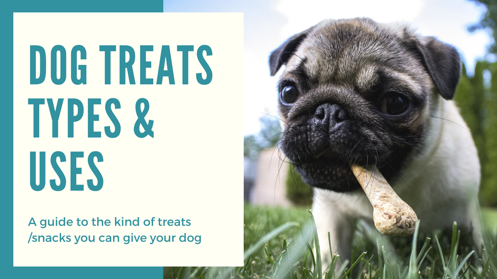 What kind of Dog Treats you should give your dog and how often?