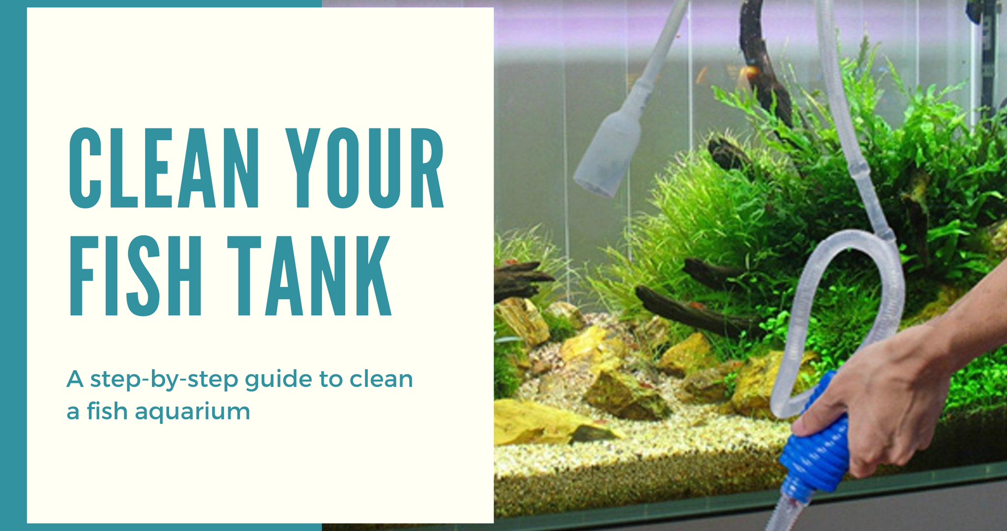 How To Clean A Fish Aquarium On Your Own