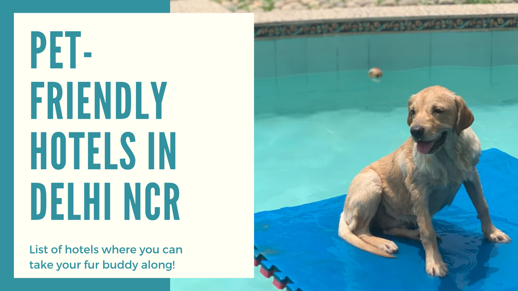 Pet-friendly hotels in Delhi NCR