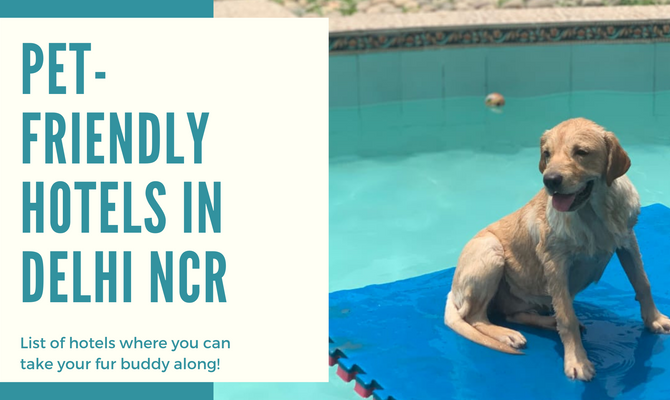 Pet-friendly hotels in Delhi NCR