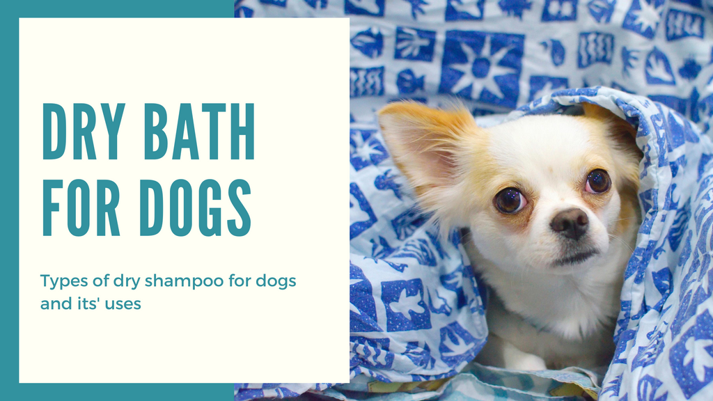Dry Shampoo for dogs & its uses
