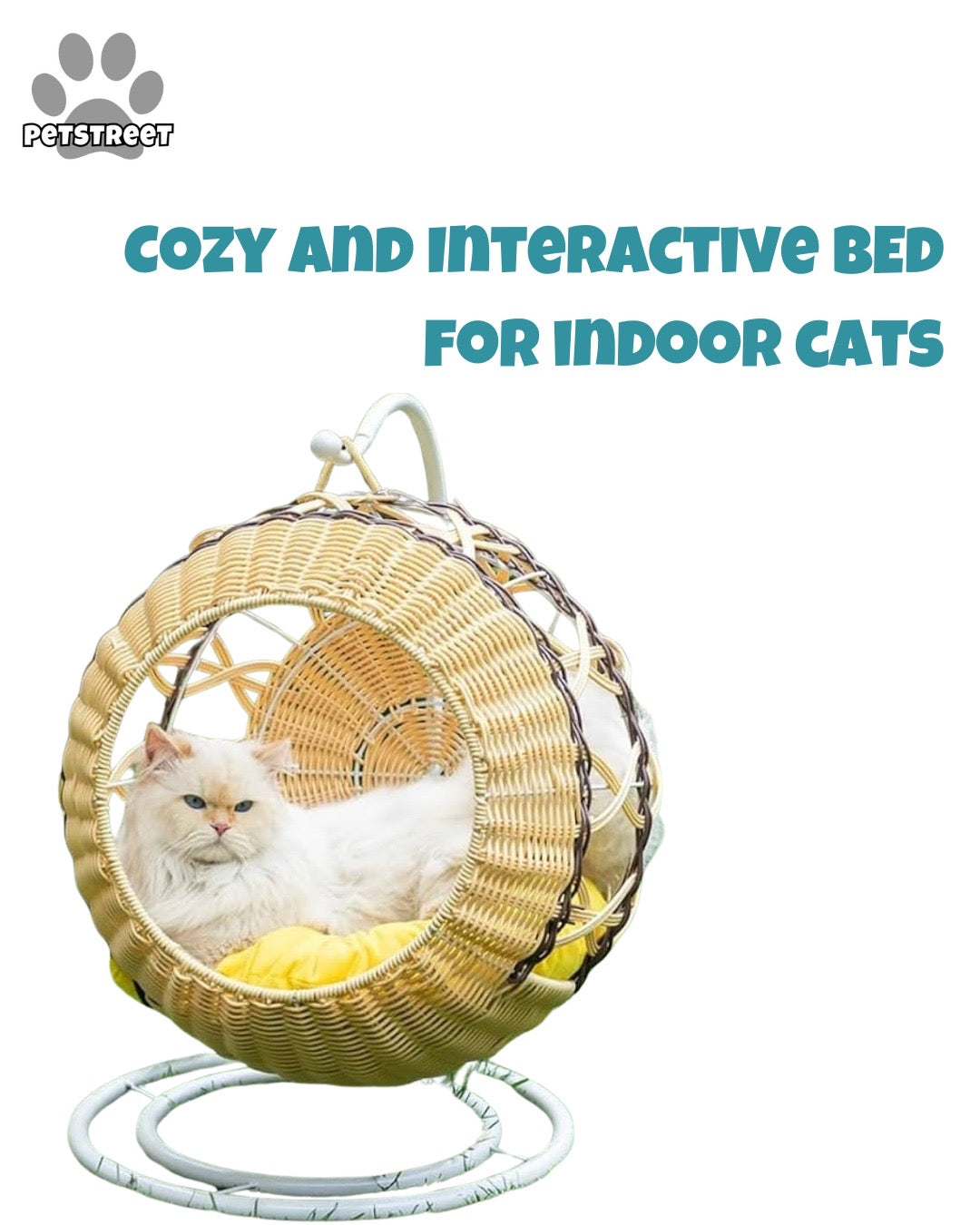 Cat Bedding