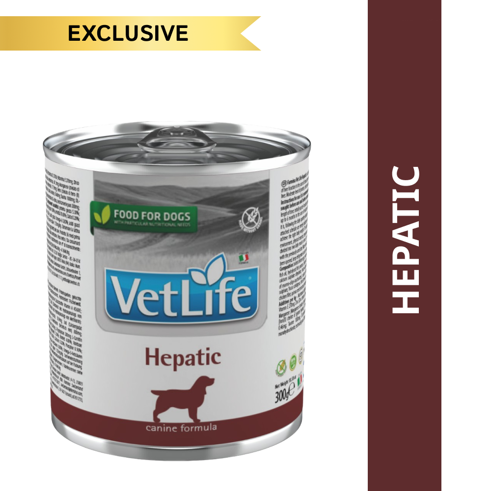Farmina VetLife Hepatic Dog Can Gravy 300g