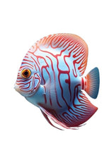 Load image into Gallery viewer, ToyaBits Special - Fish Food
