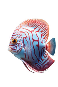 ToyaBits Special - Fish Food