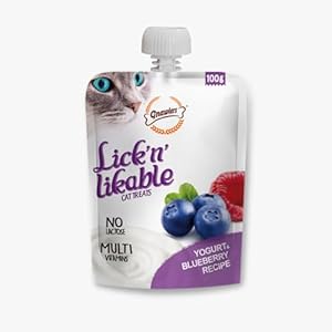 Gnawlers Lickable Wet Creamy Cat Treats with Yogurt & Blueberry Flavour for Adult & Senior Cats, Healthy Cat Treat