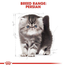 Load image into Gallery viewer, Royal Canin - Persian - kitten
