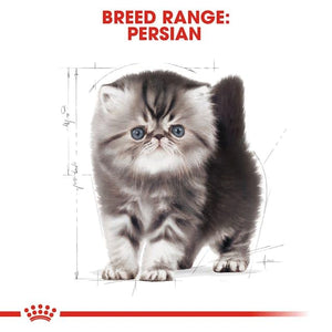 Royal Canin - Persian - kitten