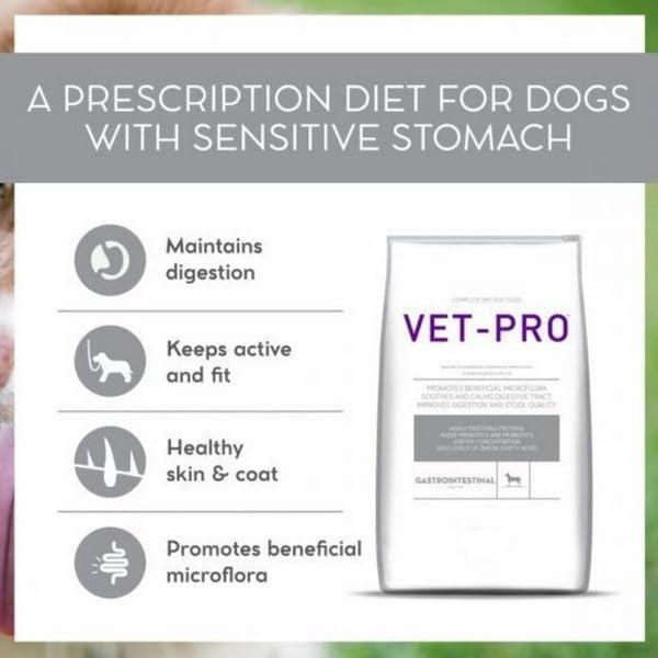 Vet Pro Gastrointestinal Dog Food 3kg | Petstreet – petstreetonline