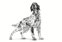 Load image into Gallery viewer, Royal Canin Veterinary Diet Canine Dry Hypoallergenic, 2 kg for Adult Dogs
