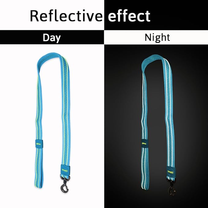 Petaholic Soft Athletica Leash For Dogs