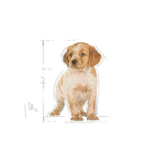 Load image into Gallery viewer, Royal Canin - Medium - Junior/Puppy
